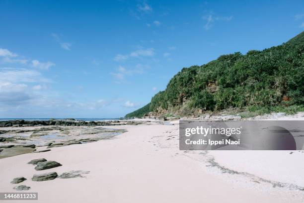 remote beach, iriomote island, okinawa, japan - okinawa blue sky beach landscape stock pictures, royalty-free photos & images