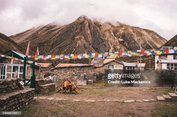 yak kharka, annapurna circuit - nepal road stock pictures, royalty-free photos & images