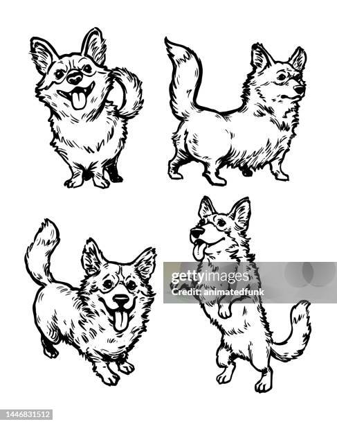 corgi dogs - pembroke welsh corgi stock illustrations