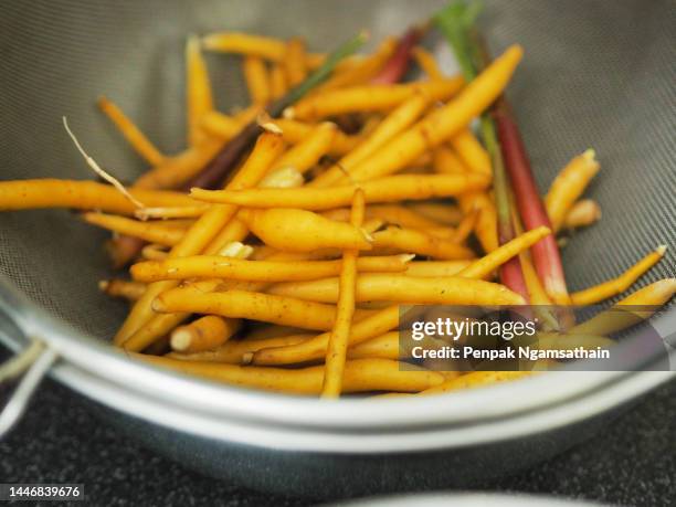 boesenbergia rotunda kaempferia cochinchinensis gagnep. kaempferia ovata roscoe, kaempferia pandurata roxb tree booming, water drink vegetable food herb thai in clear grass, covid-19 viruscorona - boesenbergia stock pictures, royalty-free photos & images