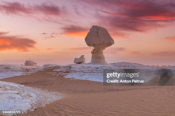 chicken and mushroom rock formation in the white desert of egypt - western sahara desert stock pictures, royalty-free photos & images