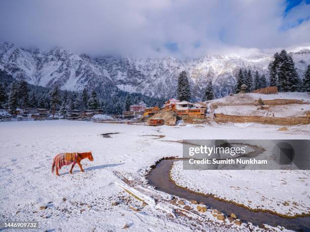 Gilgit Winter 10,007 Gilgit Baltistan Stock Photos, High-Res Pictures, and Images ...