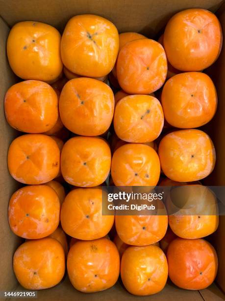 seedless persimmon fruits in cardboard box - persimone stock-fotos und bilder