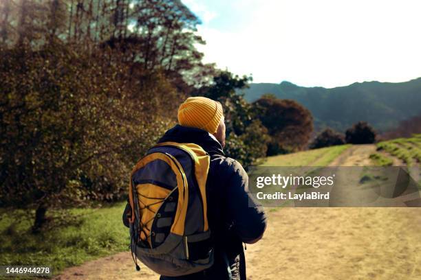 hiking, travel and back view of man in nature on vacation or holiday trip outdoors. freedom, adventure and male hiker with backpack trekking for workout, exercise and fitness alone outside at park. - snap imagens e fotografias de stock