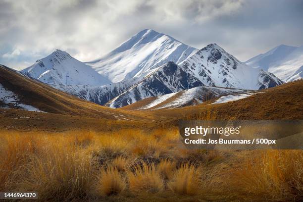 scenic view of snowcapped mountains against sky,new zealand - new zealand yellow stock-fotos und bilder