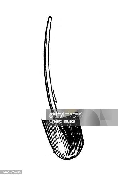 antique engraving illustration: shovel - woodcut stock illustrations