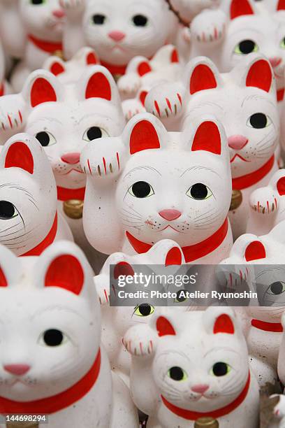 beckoning cat - maneki neko stock pictures, royalty-free photos & images
