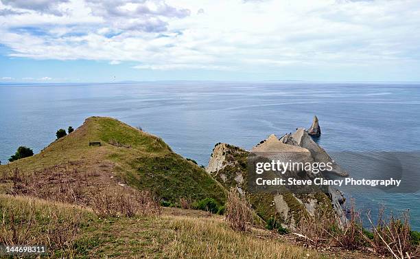 cape kidnappers - cape kidnappers fotografías e imágenes de stock