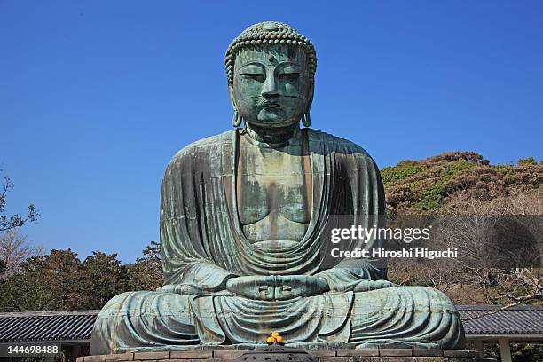 great buddha of kamakura - giant buddha stock pictures, royalty-free photos & images