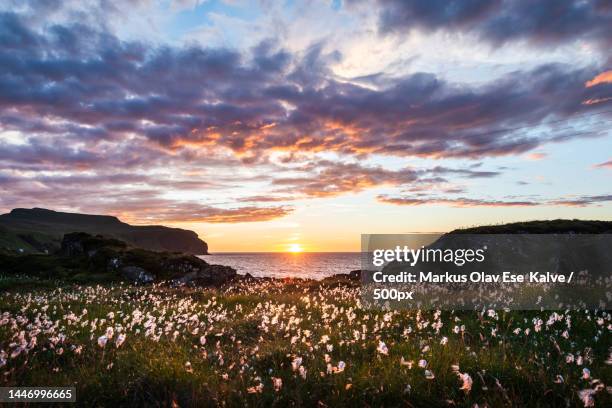 scenic view of sea against cloudy sky during sunset,runde,norway - sunset cliffs stage stock pictures, royalty-free photos & images