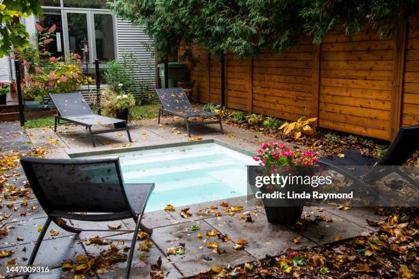 back yard in the fall - fall back yard stock pictures, royalty-free photos & images