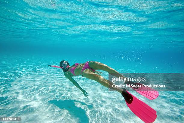 free diver snorkeling - virgin islands stock pictures, royalty-free photos & images