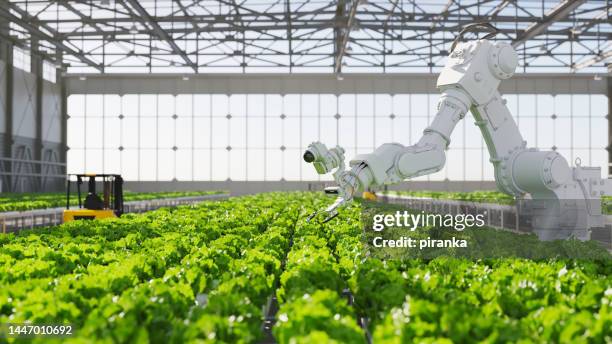 hydroponic robot farm - food ai stock pictures, royalty-free photos & images