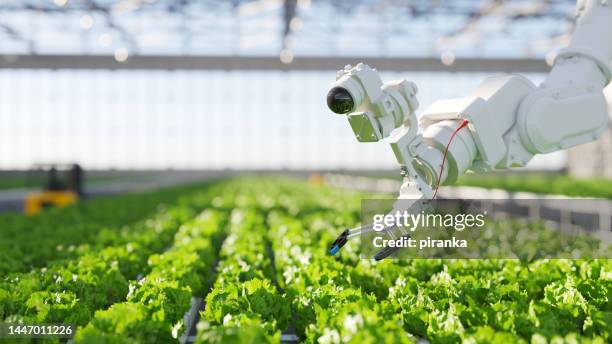 hydroponic robot farming - robotarm robot stockfoto's en -beelden