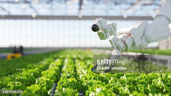 Hydroponic robot farming