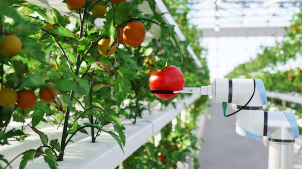 ما هي الزراعة المائية؟ إليك كل ماتريد معرفته عنها. 3 automated hydroponic farm ما هي الزراعة المائية؟ إليك كل ماتريد معرفته عنها. مجلة نقطة العلمية
