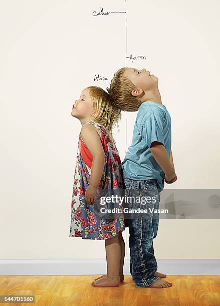 taller - height chart stock pictures, royalty-free photos & images