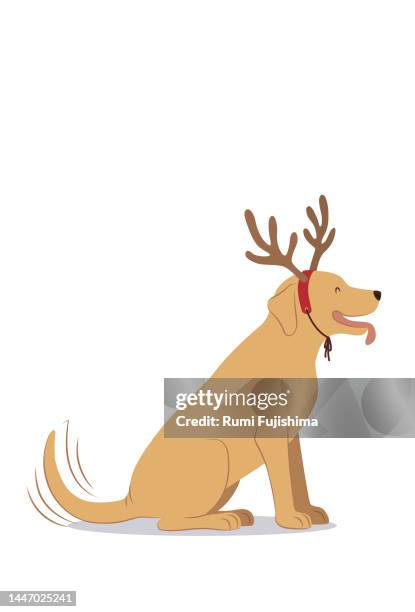 happy dog with reindeer antlers - dog tiara stock illustrations