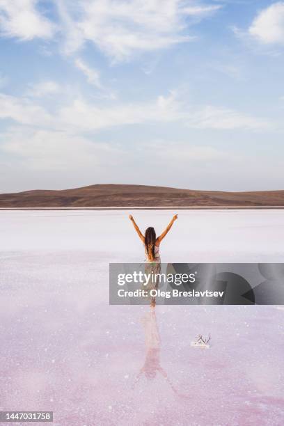 happy woman from behind at amazing and unusual travel destination - salt lake flats. unrecognizable person - salt flats stock-fotos und bilder