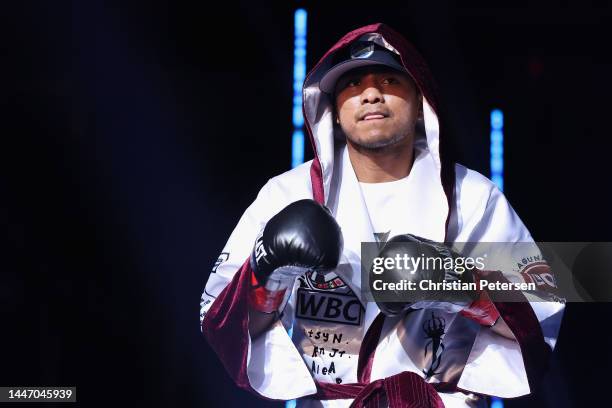 Roman Gonzalez of Nicaragua is introduced to his WBC super flyweight title bout against Juan Francisco Estrada of Mexico at Desert Diamond Arena on...