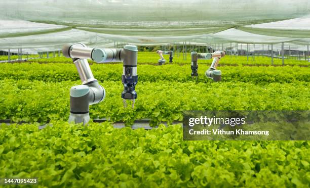 smart farm and automatic robot mechanical arm harvesting vegetables - advanced manufacturing with robotics fotografías e imágenes de stock