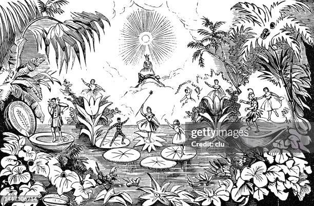 ballet on the lake - ballet performance stock illustrations