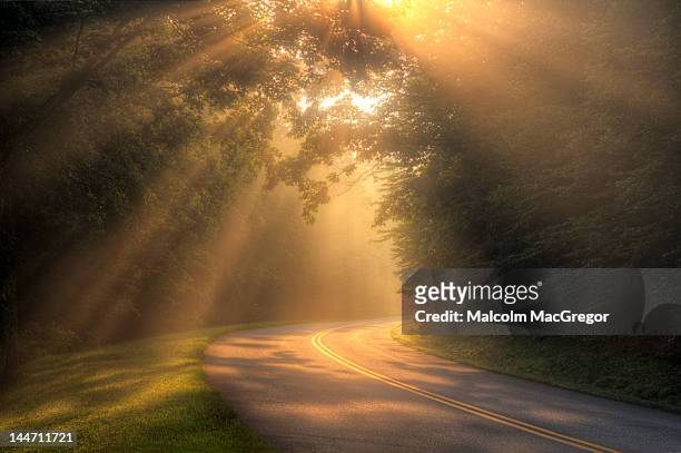 morning rays on rural road - blue ridge parkway stock pictures, royalty-free photos & images