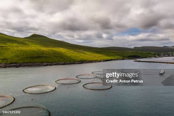 aerial view of a salmon fish farm near the faroe islands - faroe islands food stock pictures, royalty-free photos & images