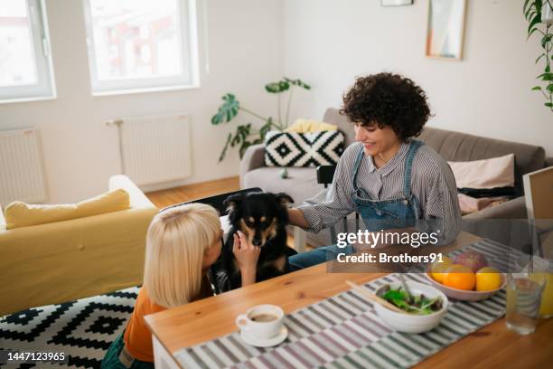happy couple of lovers relaxing at home with their pet dog - flatmate stock pictures, royalty-free photos & images