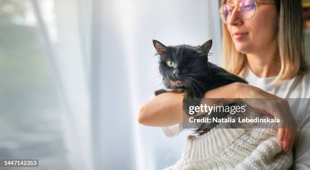 one-eyed black cat in hands of owner. stray cat found new home, sheltered cat. banner and copy space. - cat eye woman stock pictures, royalty-free photos & images