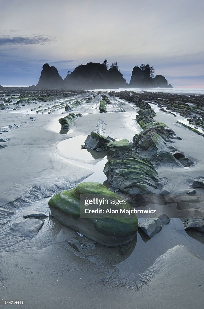 Point of the Arches and Shi Shi Beach