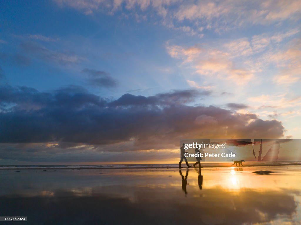 Couple on beach with dog