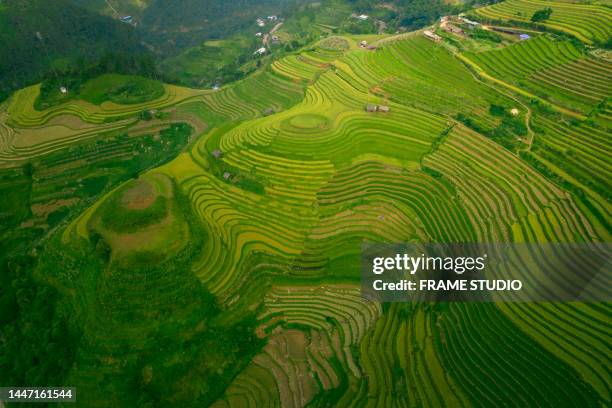 Farm Ridges Hd 338 Ridge Farm Studio Stock Photos, High-Res Pictures, and Images ...