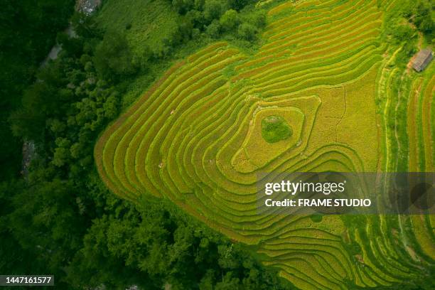 Farm Ridges Hd 338 Ridge Farm Studio Stock Photos, High-Res Pictures, and Images ...