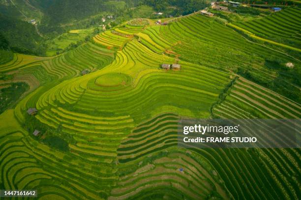 Farm Ridges Hd 338 Ridge Farm Studio Stock Photos, High-Res Pictures, and Images ...