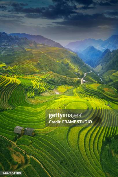 high-angle aerial view of rice fields planted along the ridges as rice terraces. which is a rice field and made into a terrace at the peak point, chasing every mountain ridge in the north of vietnam, is a beautiful and important tourist attraction in viet - mù cang chải stock pictures, royalty-free photos & images