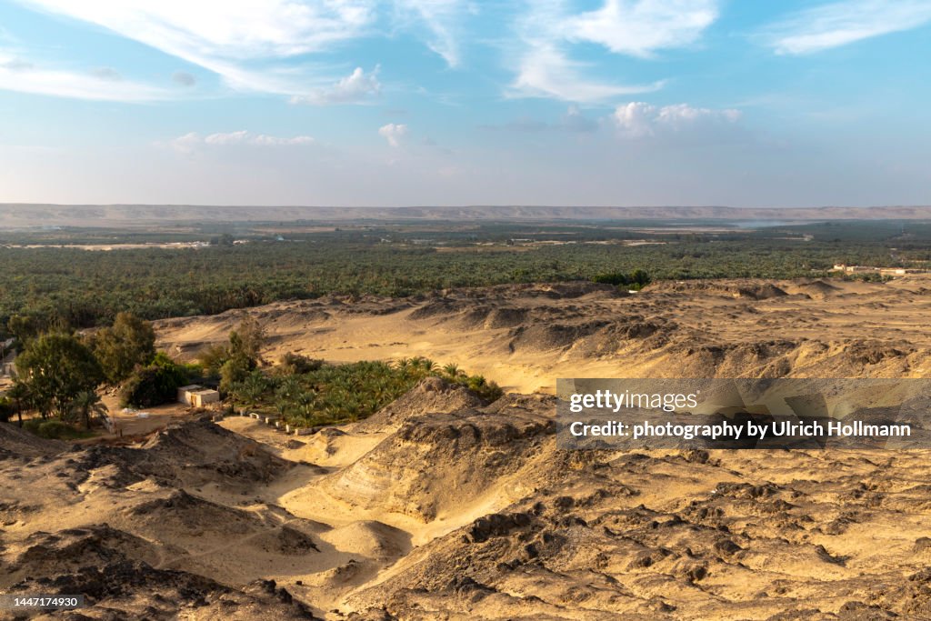 Bahariya Oasis, Western Desert, Egypt