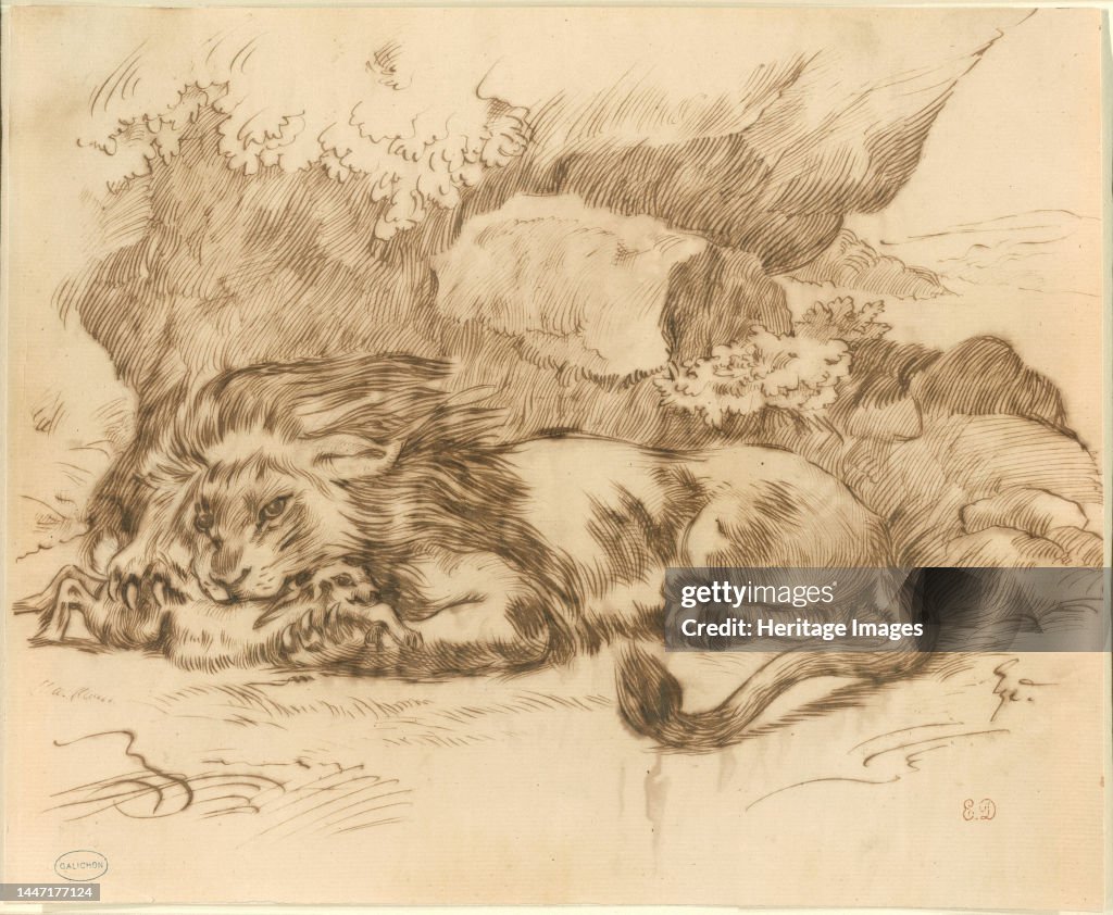 Lion Eat Rabbit Lion Devouring a Rabbit, n.d. Attributed to Eugène Delacroix.... News ...