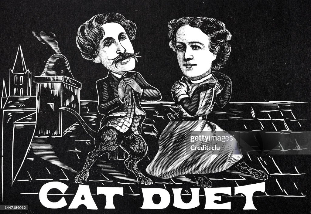 A couple cat duet dance on a roof