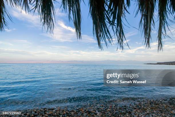 sea front view - nuweiba beach stock pictures, royalty-free photos & images