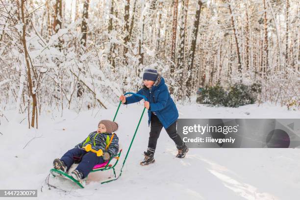 tobogganing and sledding. children play and have fun with sledge in winter forest. running and moving. happy childhood. winter holiday. deep snow. boys and girls. warm clothes. tubing - frozen action stock pictures, royalty-free photos & images