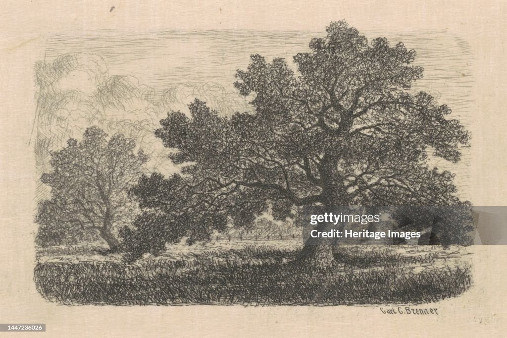 Apple Trees