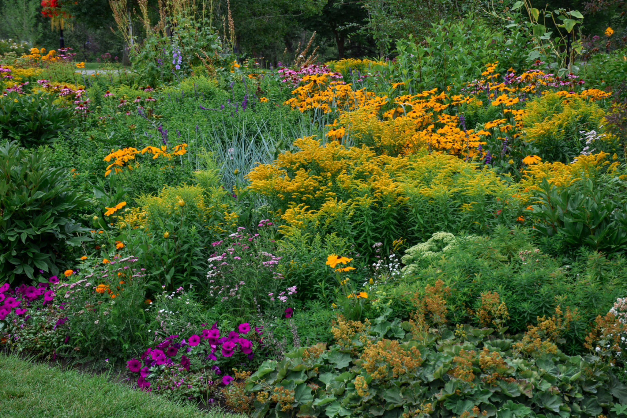 seasonal garden diversity