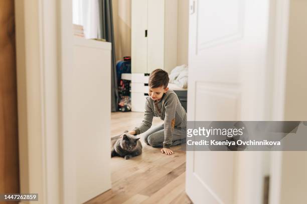 a fair-haired boy in summer in a white linen shirt walks in the fresh air in the field with his favorite pet, a gray-striped cat - fair haired boy stock-fotos und bilder