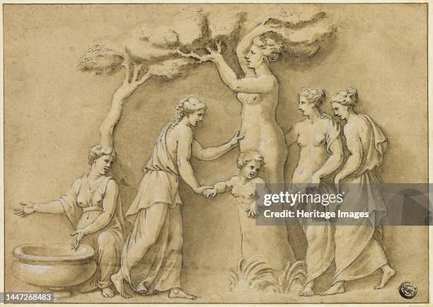 Birth of Adonis, n.d. Myrrha, changed into a myrrh tree, gives birth to Adonis. Possibly after Giulio Romano. Creator: Unknown.