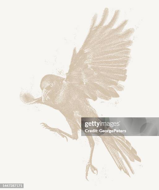 gothic style raven flying - evil stock illustrations