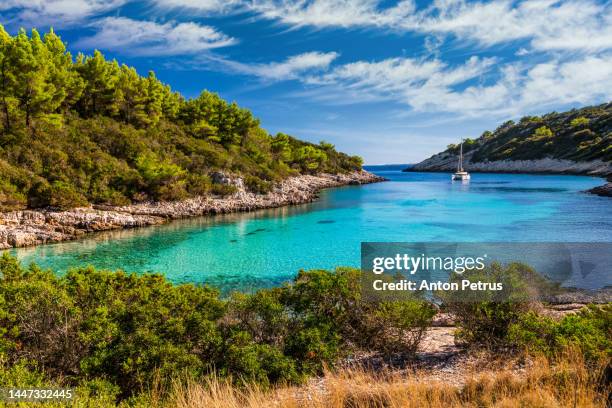 summer view of picturesque bay at hvar island, croatia - hvar 個照片及圖片檔