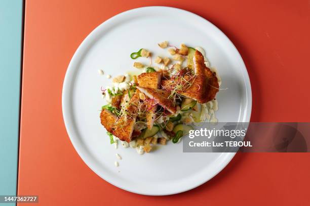 cesar salad - poulet frit photos et images de collection