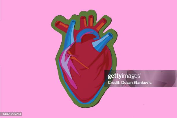 Inside Body Texture High Res Illustrations - Getty Images