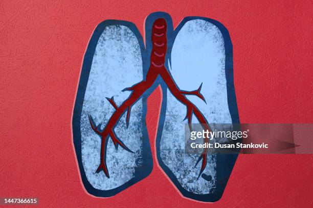 人間の肺 - コラーゲン点のイラスト素材／クリップアート素材／マンガ素材／アイコン素材